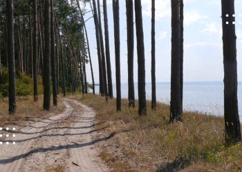 Прокуратура повернула громаді на Переяславщині земельну ділянку водного фонду вартістю 30 млн грн