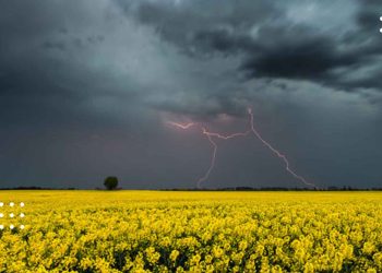 17 липня: цього дня в народі очікували, що Марина Вогняна принесе грозові дощі з блискавкою