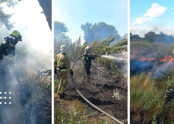 Упродовж доби на Переяславщині рятувальники гасили палаюче дерево, очерет і чотири рази суху траву