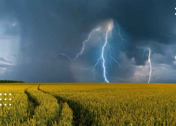 Синоптики попередили про грозу на Київщині 15 липня: прогноз погоди