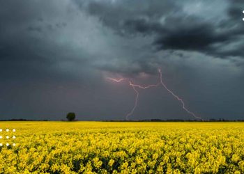 Спека й дощ з грозою: прогноз погоди на 16 липня по Київщині