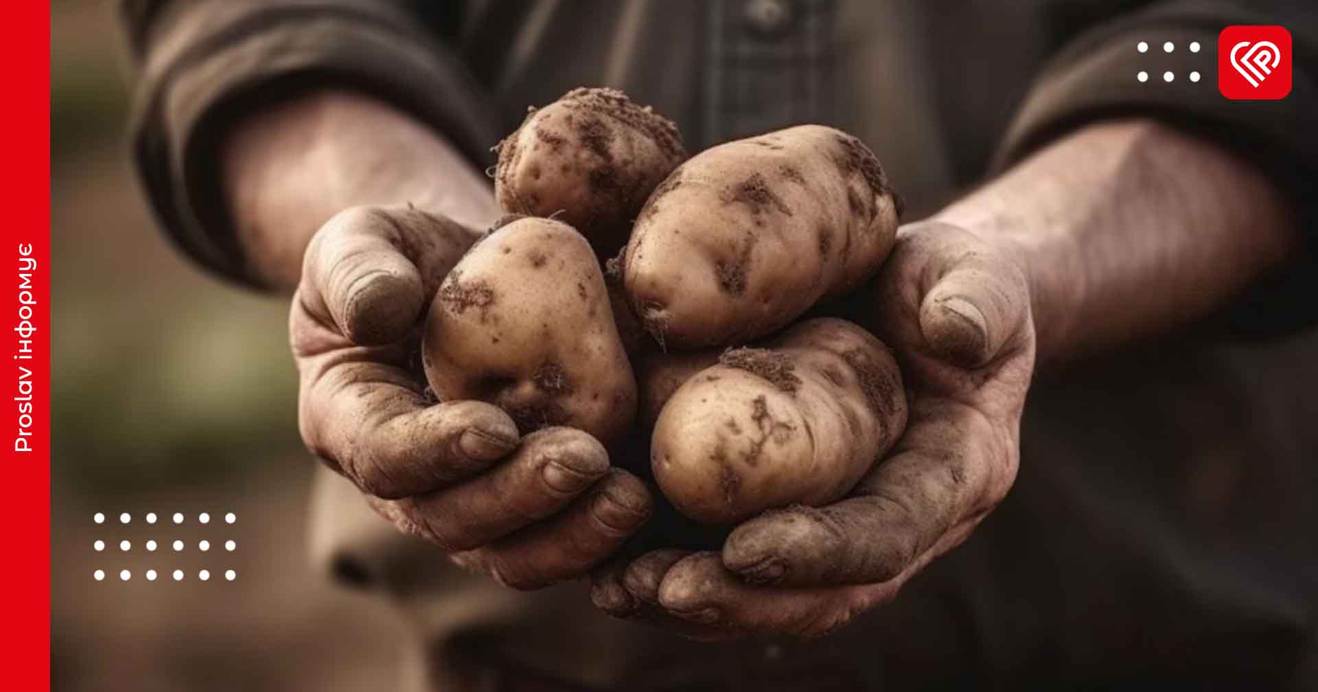 26 липня – святого Єрмолая: з цього дня в народі прийнято копати картоплю й збирати яблука