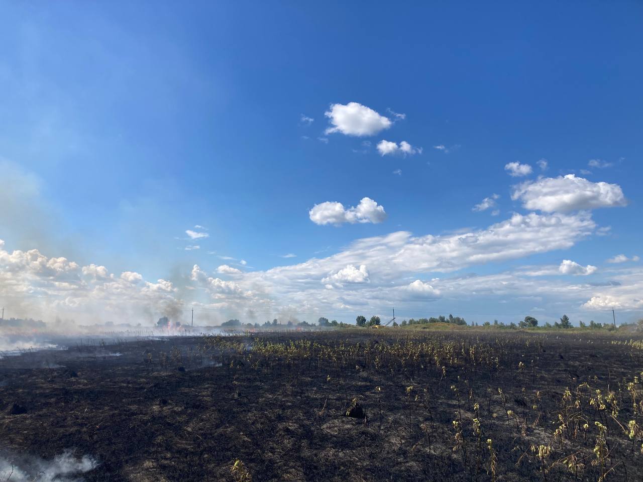 У Переяславі горіло понад два гектари трави: наслідки займання півтори години гасило три екіпажі вогнеборців (фото та відео)