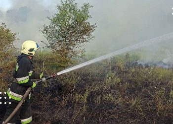 Попід дорогою на Переяславщині зайнялись чагарники: вогнеборці ліквідували пожежу
