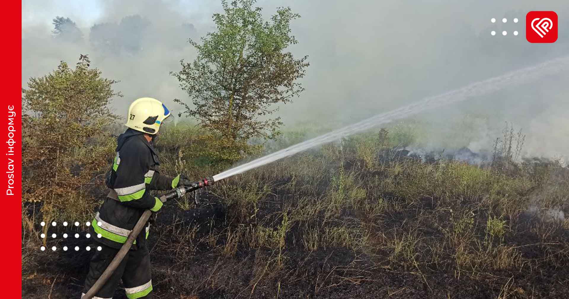 Попід дорогою на Переяславщині зайнялись чагарники: вогнеборці ліквідували пожежу