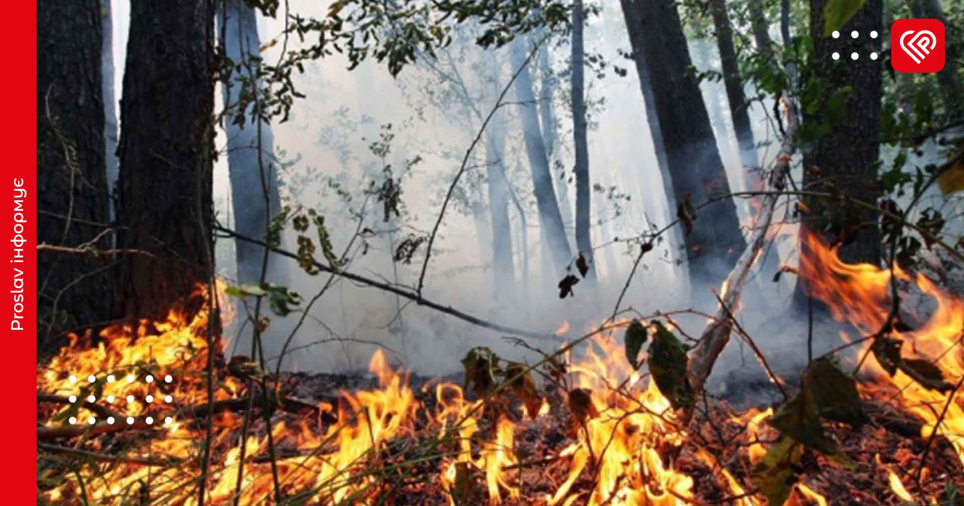 На Київщині утримується надзвичайний рівень пожежної небезпеки: прогноз погоди на 30 серпня