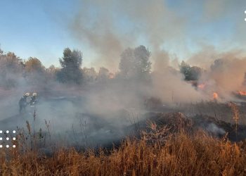 Хроніка пожеж на Переяславщині: сухостій палає і в місті, і в навколишніх селах