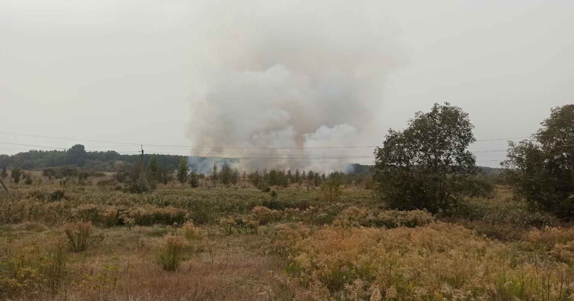 У Переяславі через падіння ворожого БпЛА горіло 20 га сухої трави та очерету (відео з місця події)