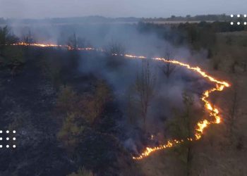 У Переяславі через падіння ворожого БпЛА горіло 20 га сухої трави та очерету (відео з місця події)