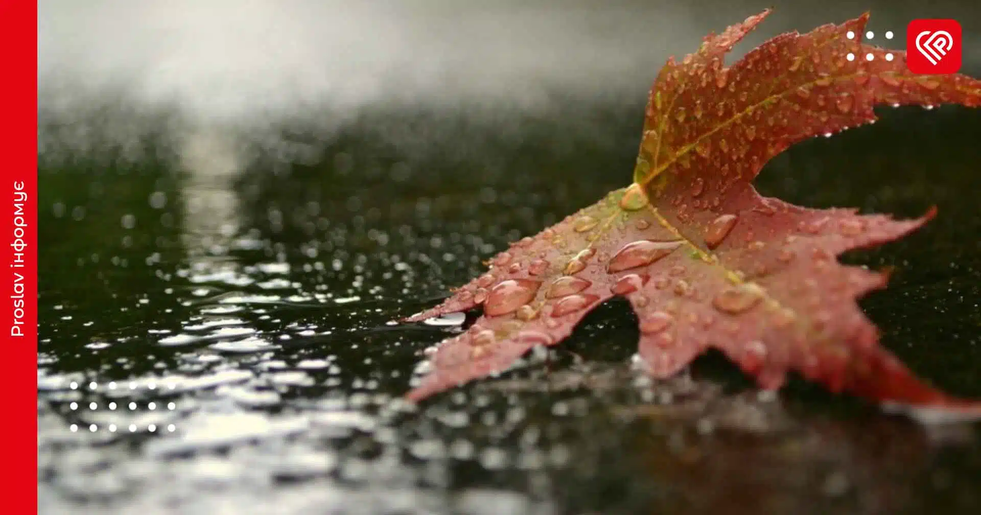 Вдень по Київщині очікується невеликий дощ: прогноз на 13 листопада