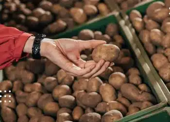 В Україні дешевшає картопля: аналітики назвали причини
