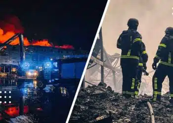 Шахеди знищили склад «Сільпо» у Бориспільському районі: втрачено товарів на понад 400 млн грн