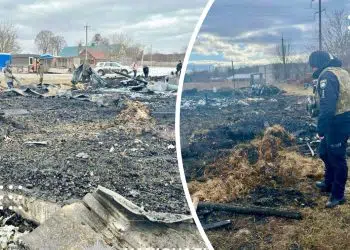 Внаслідок атаки 20 лютого на Київщині постраждав чоловік, загинули свійські тварини