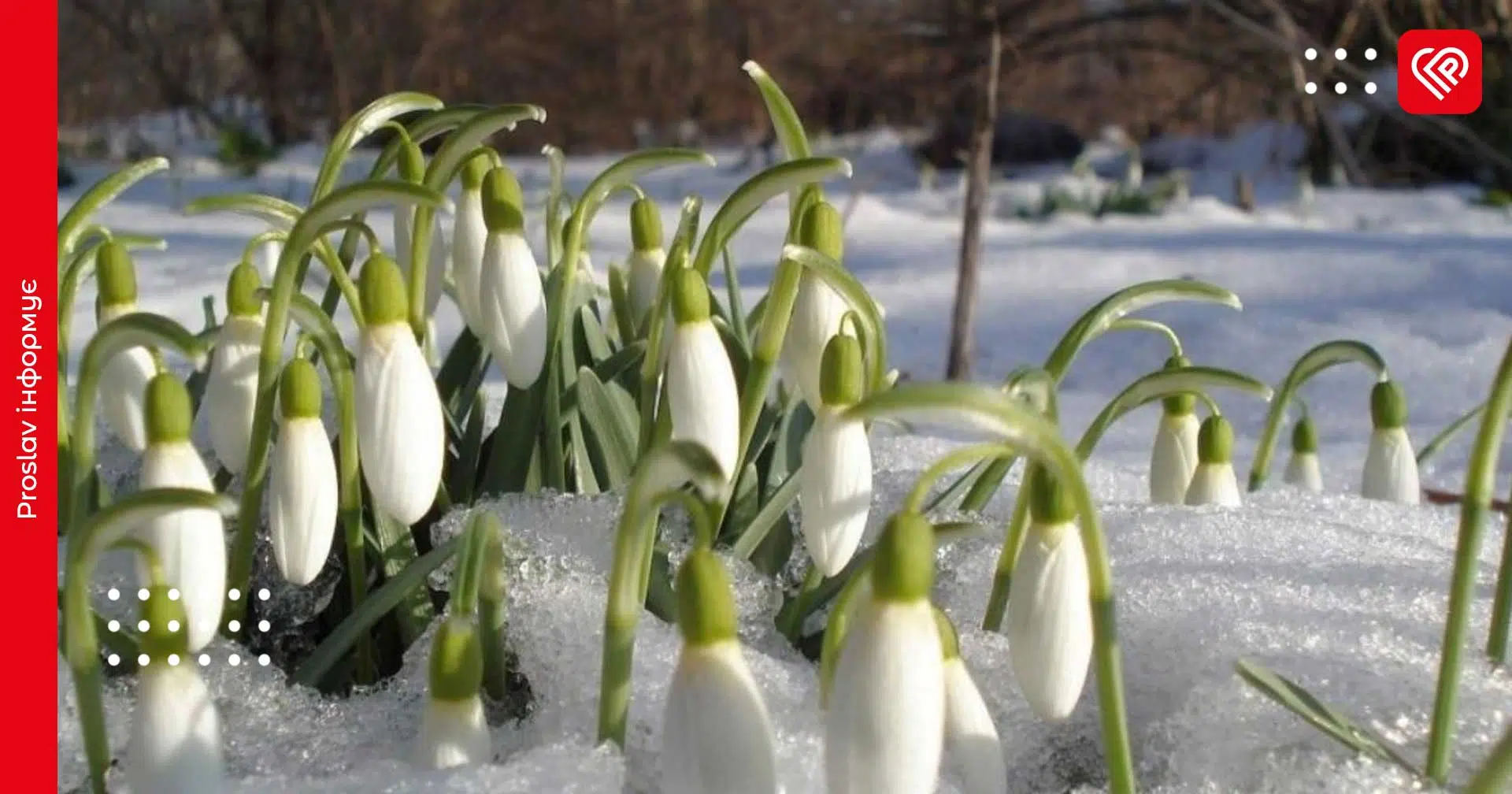 З якої погоди на Київщині розпочнеться весна: прогноз на 1 березня