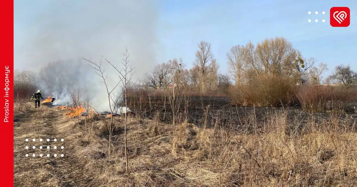 За день у Переяславі двічі палала суха трава (фото)