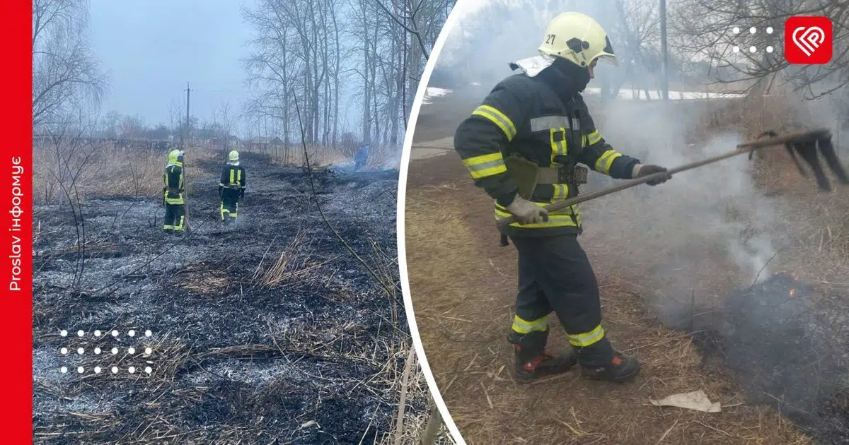 Впродовж дня на Переяславщині сталося дві пожежі: горіли трава та очерет (фото)