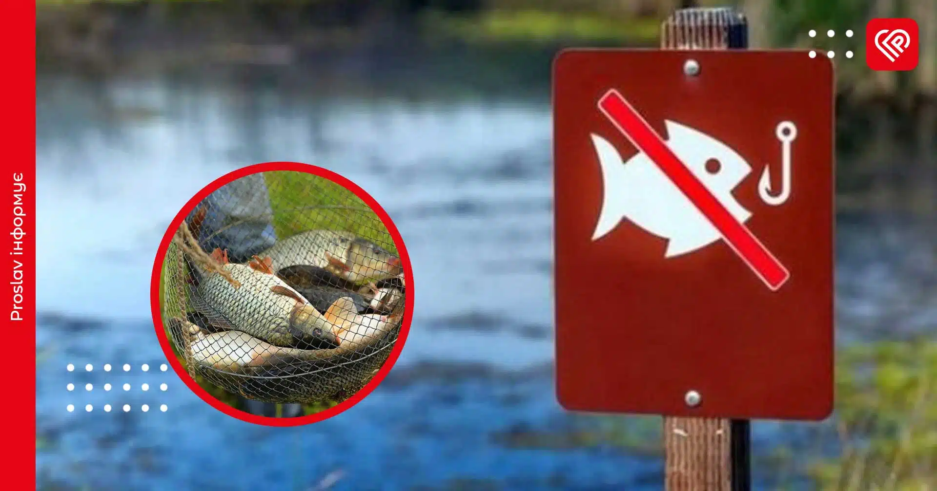 З 1 квітня розпочинається весняно-літня нерестова заборона: правила та обмеження