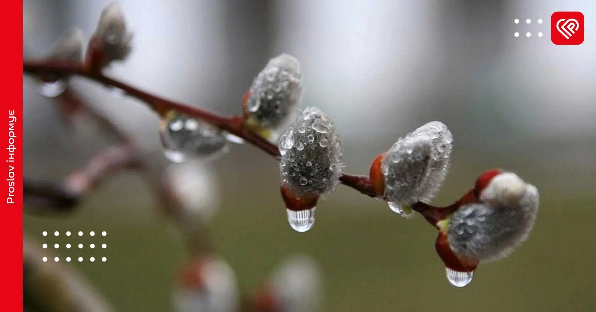 Квітень на Київщині розпочнеться з опадів: синоптики зробили прогноз