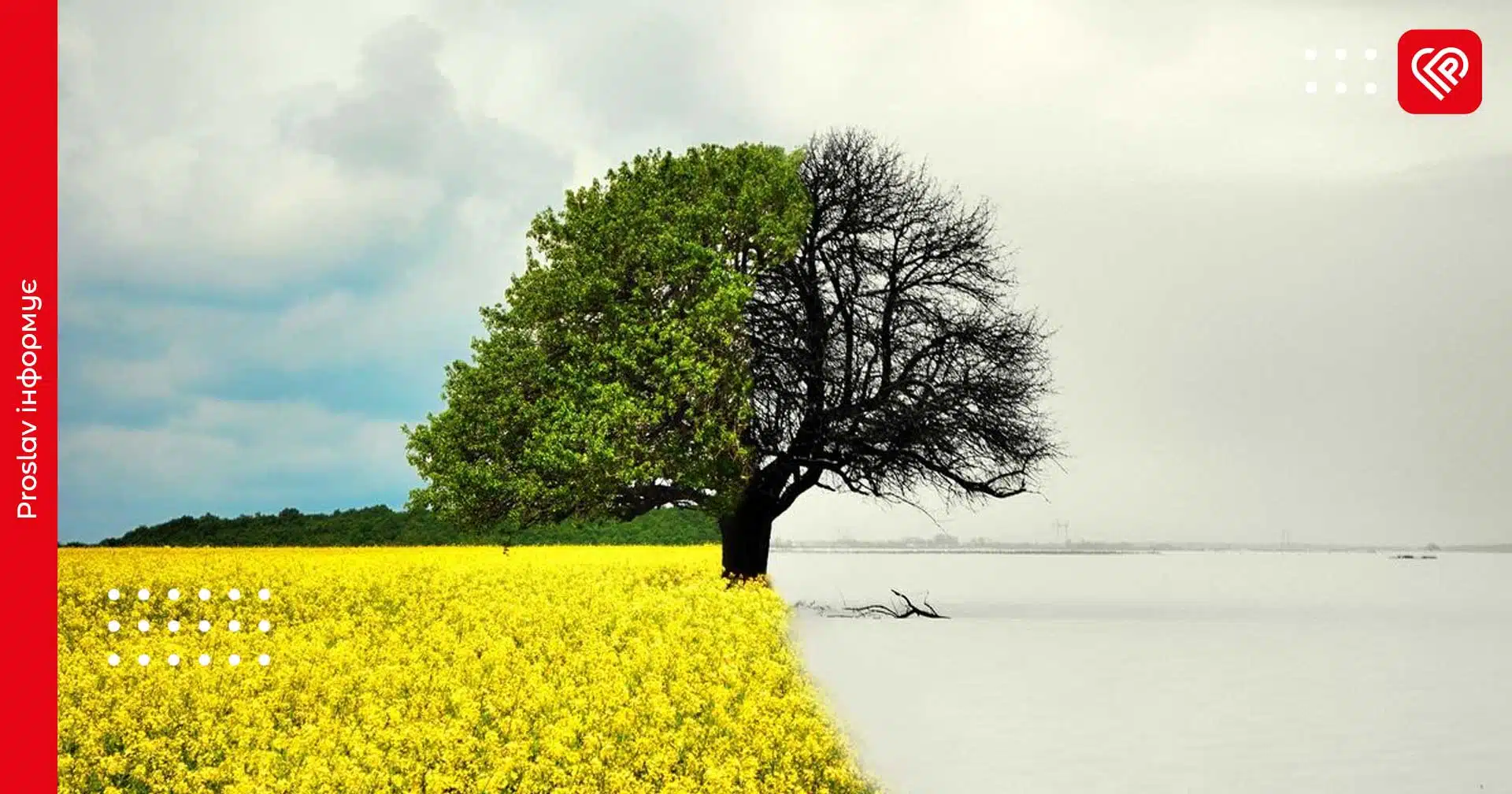 Синоптики зробили прогноз на 26 березня: на Київщину поступово повертається тепло