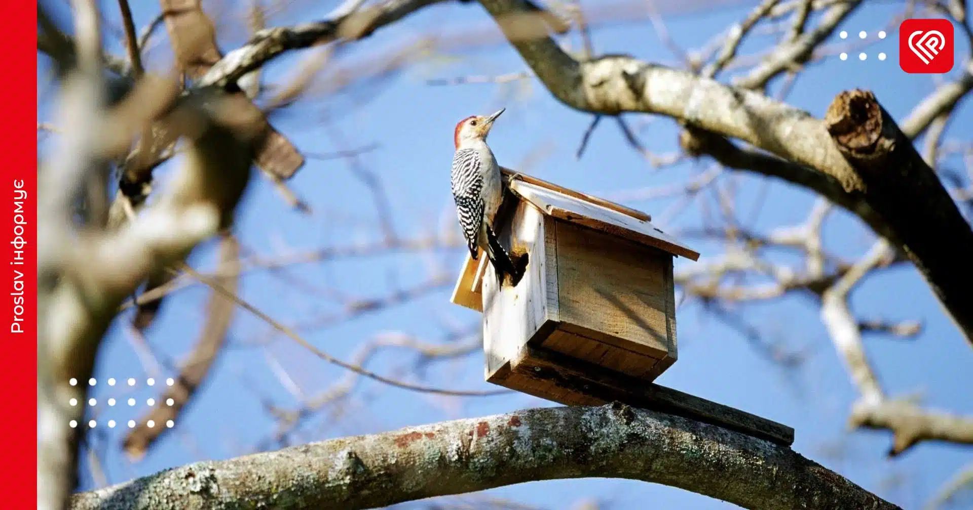 Тепло та без опадів: прогноз погоди на 27 березня по Київщині