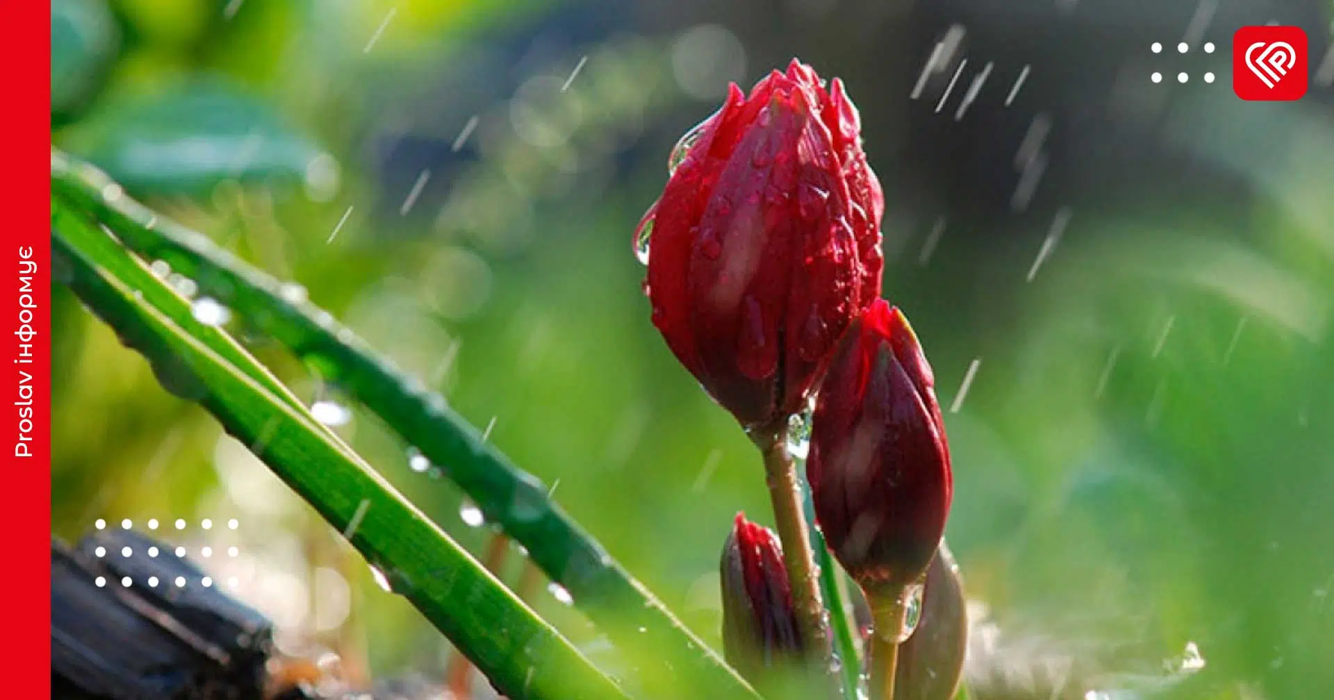 Якою буде погода на Київщині в останній день місяця: синоптики зробили прогноз на 31 березня