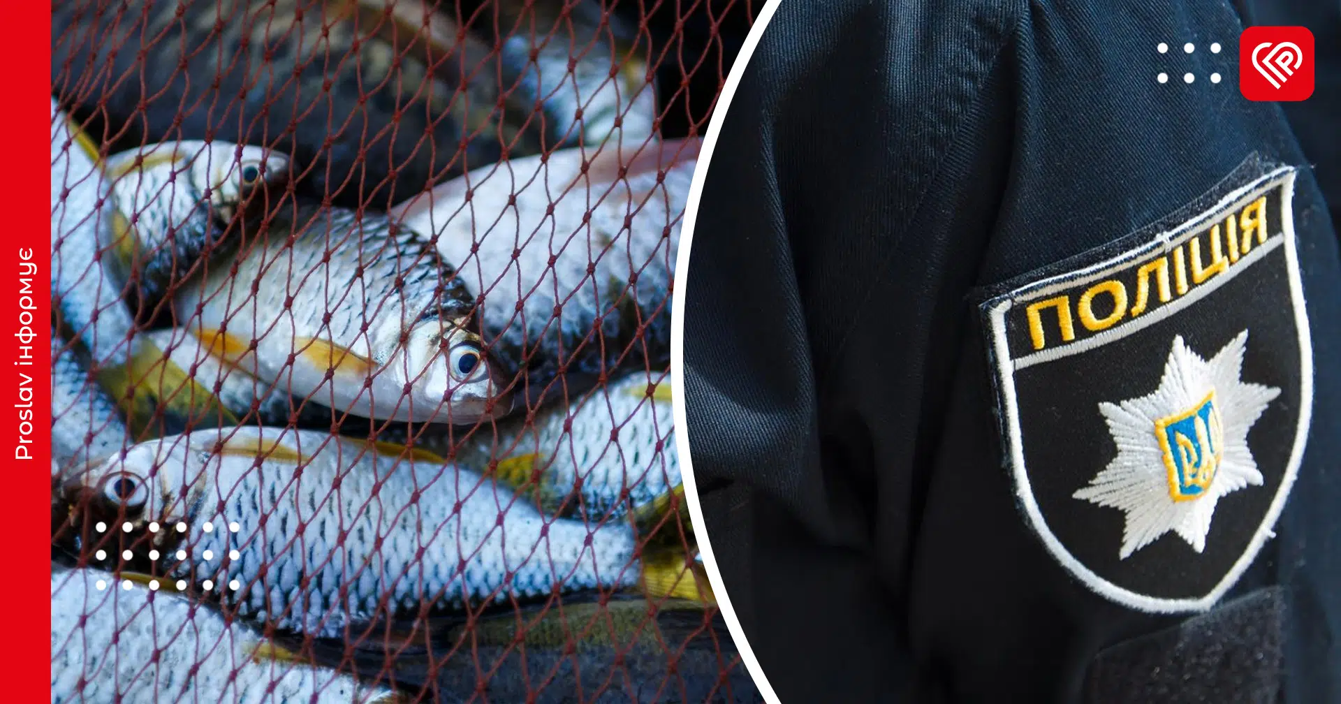 На Переяславщині у автомобілі чоловіка виявили сітки з рибою – дайджест поліції