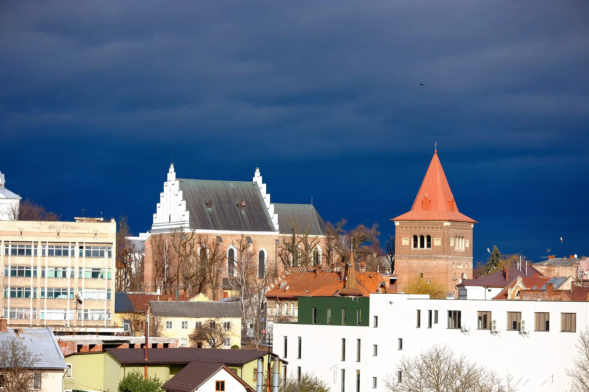 Такий вид відкривається на даху одного з ресторанів Дрогобича