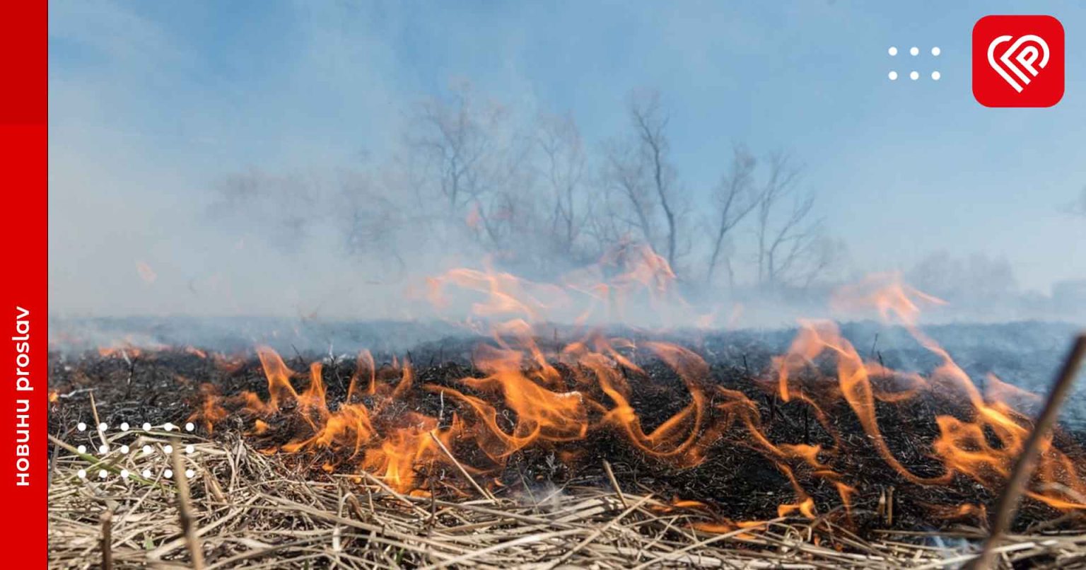 У Переяславі на місці пожежі сухої трави знайшли обгоріле тіло чоловіка – дайджест поліції