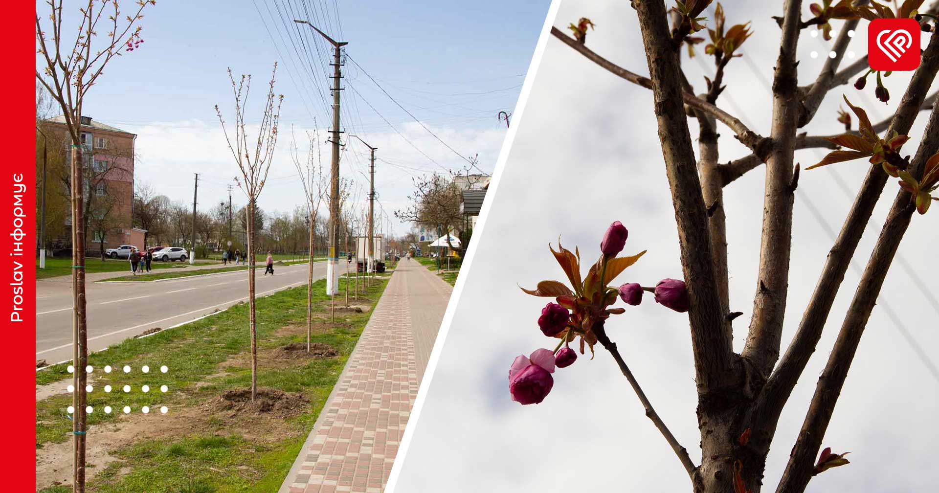 У Переяславі розпочали озеленення за рахунок екологічного податку