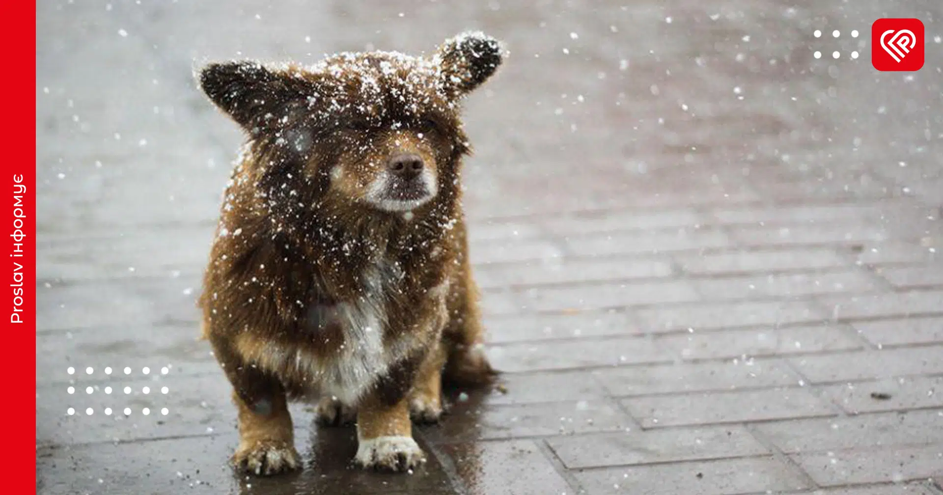 мокрий сніг