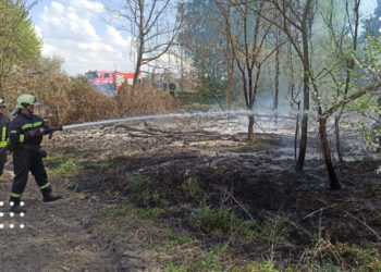 Хроніка ДСНС: на Переяславщині виявили БПЛА та гасили численні пожежі сухостою