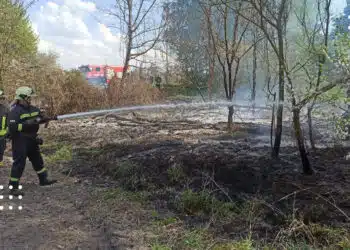 Хроніка ДСНС: на Переяславщині виявили БПЛА та гасили численні пожежі сухостою
