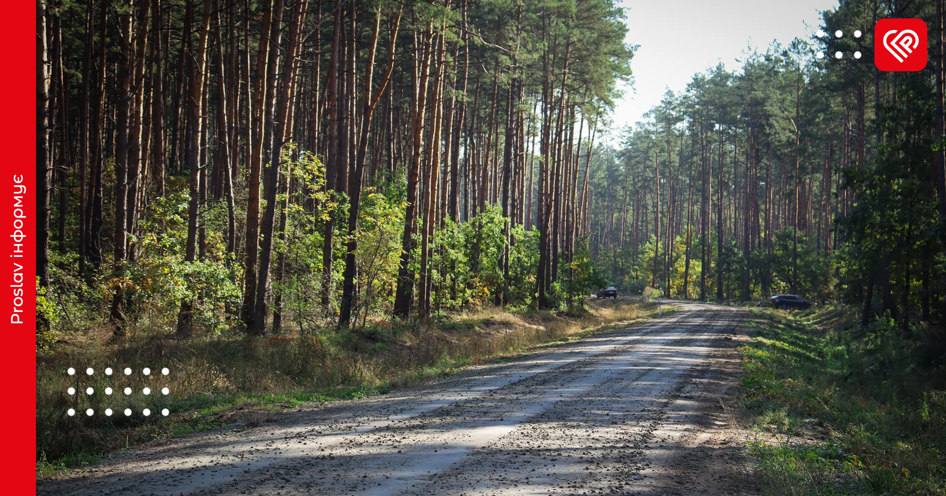 У Переяславській громаді розпочне роботу КП «Ліси Переяславщини»: на сесії виділили кошти
