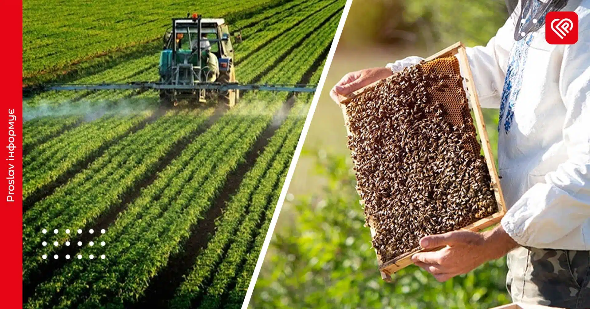 На Переяславщині оброблятимуть поля для захисту рослин: пасічників просять бути обережними