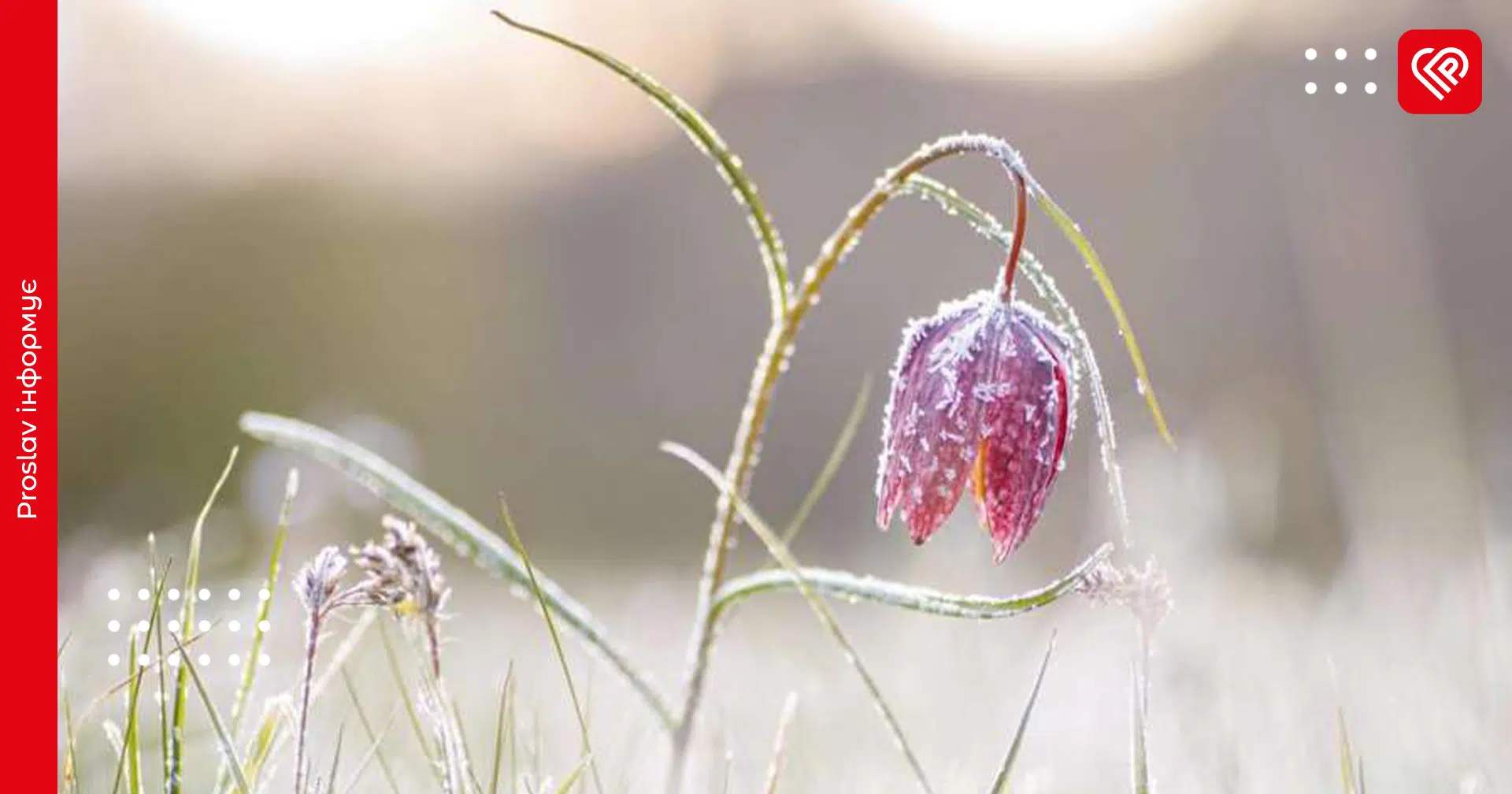 Синоптики попередили про заморозки та ожеледицю на Київщині 7 квітня