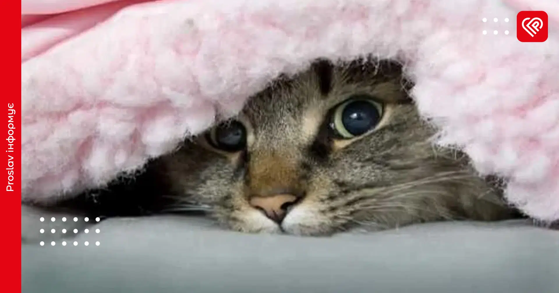 Мокрий сніг та нічні заморозки: відома синоптикиня попередила про похолодання у квітні