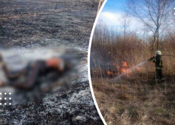 Двоє жителів Київщини загинули через спалювання сухостою, один з них у Переяславі