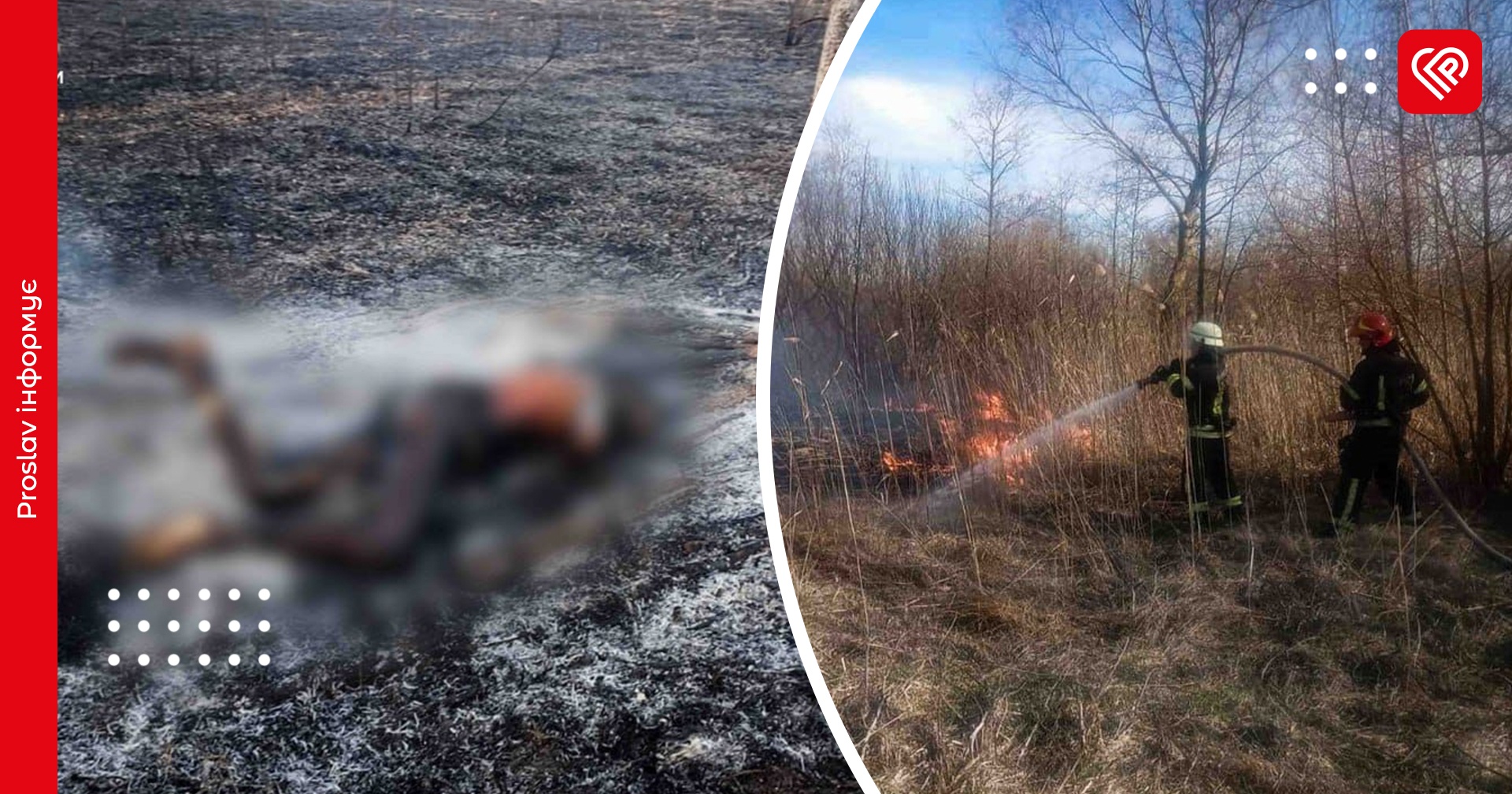 Двоє жителів Київщини загинули через спалювання сухостою, один з них у Переяславі