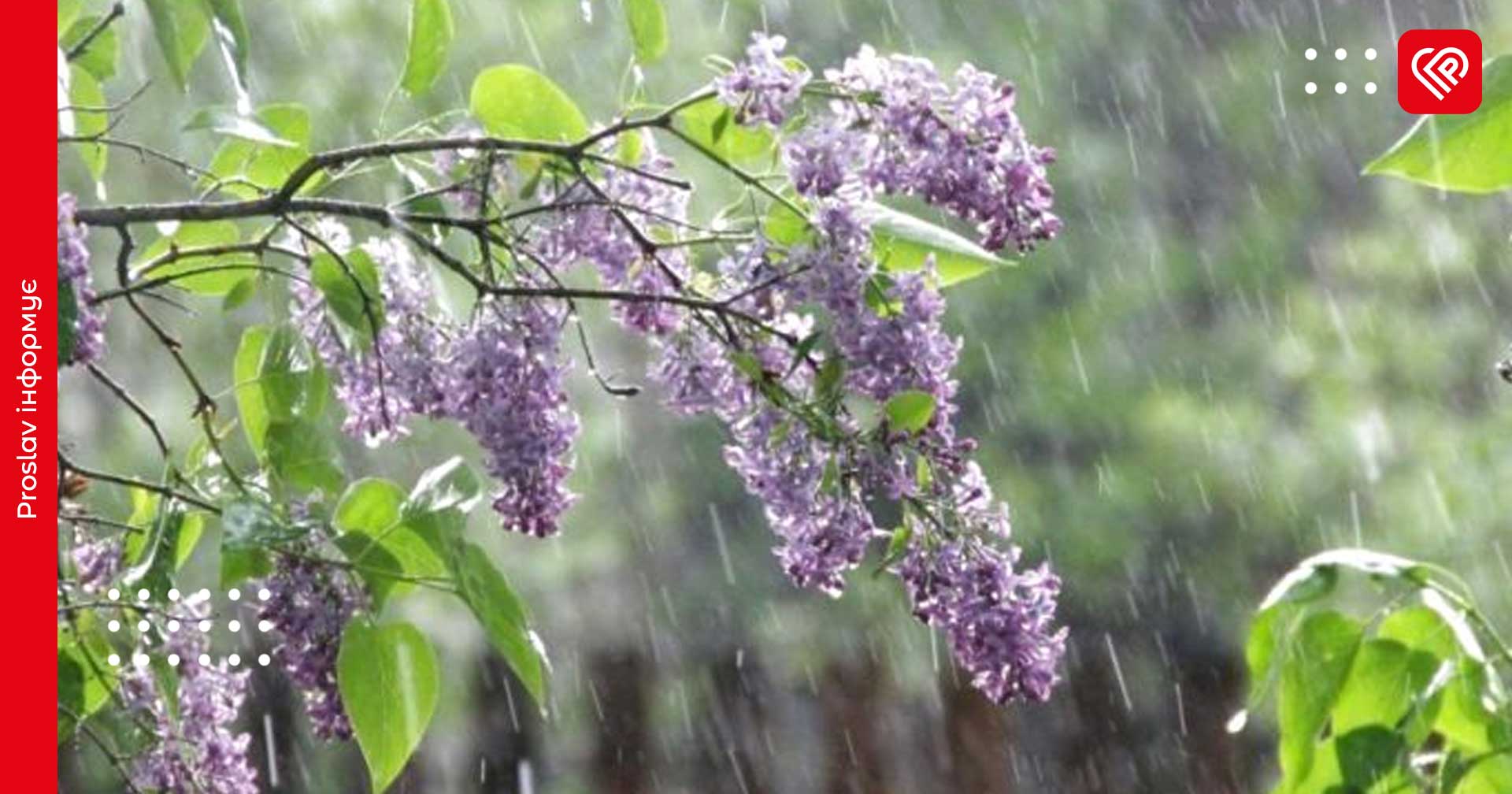 У гідрометцентрі повідомили, що травень на Київщині розпочнеться з невеликого дощу та поривів вітру