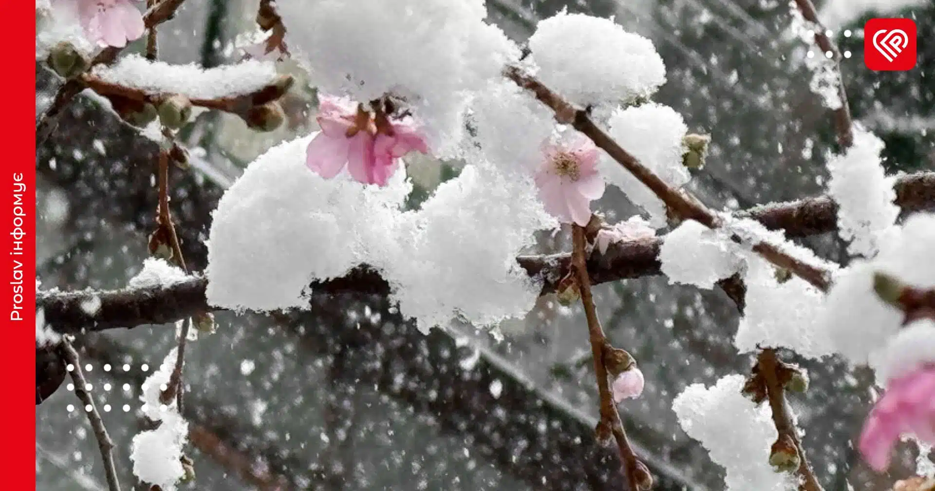 Прогноз на 10 квітня по Київщині: синоптики попередили про заморозки, мокрий сніг та ожеледицю