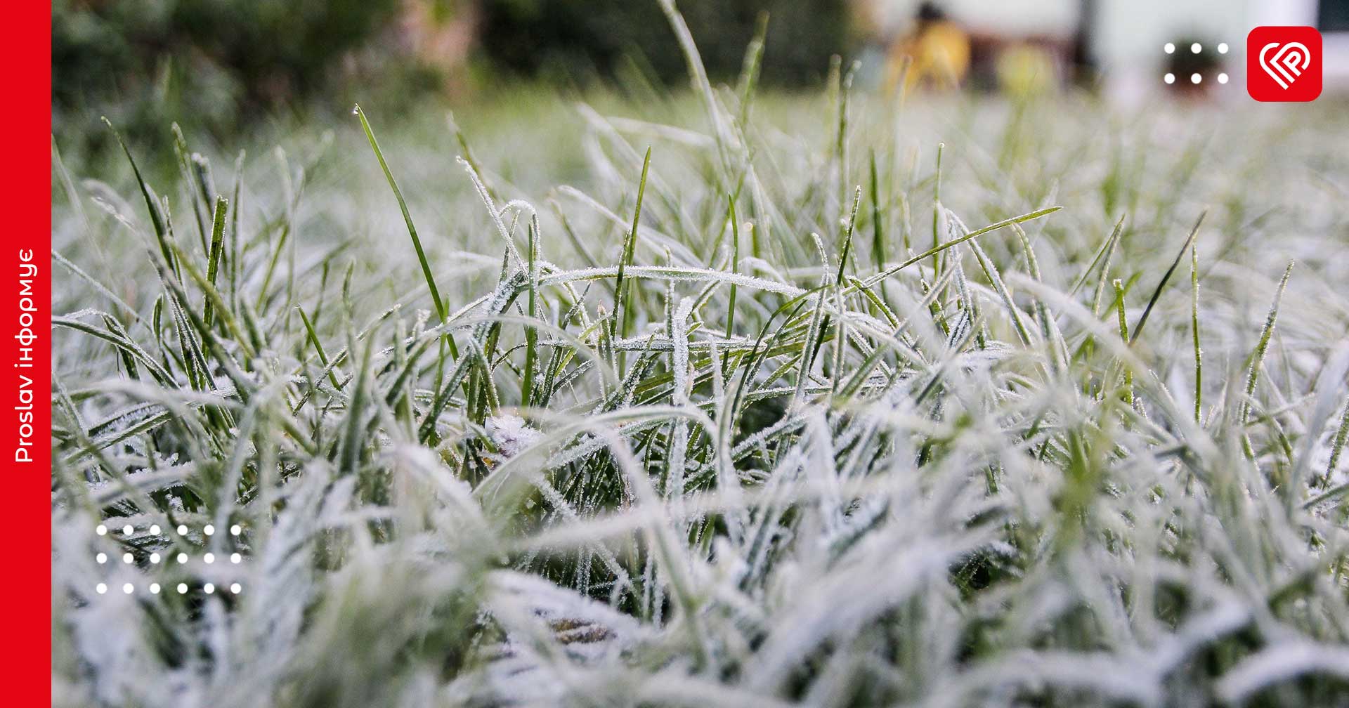 Заморозки та ожеледиця на Київщині: синоптики зробили прогноз на 11 квітня