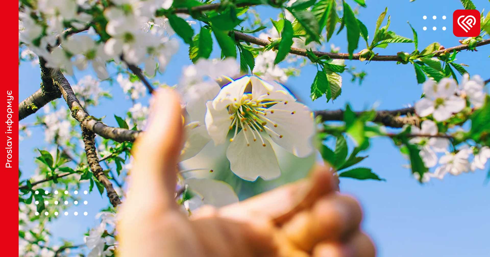 Прогноз на 12 квітня: на Київщині вночі очікуються заморозки, а вдень потепління