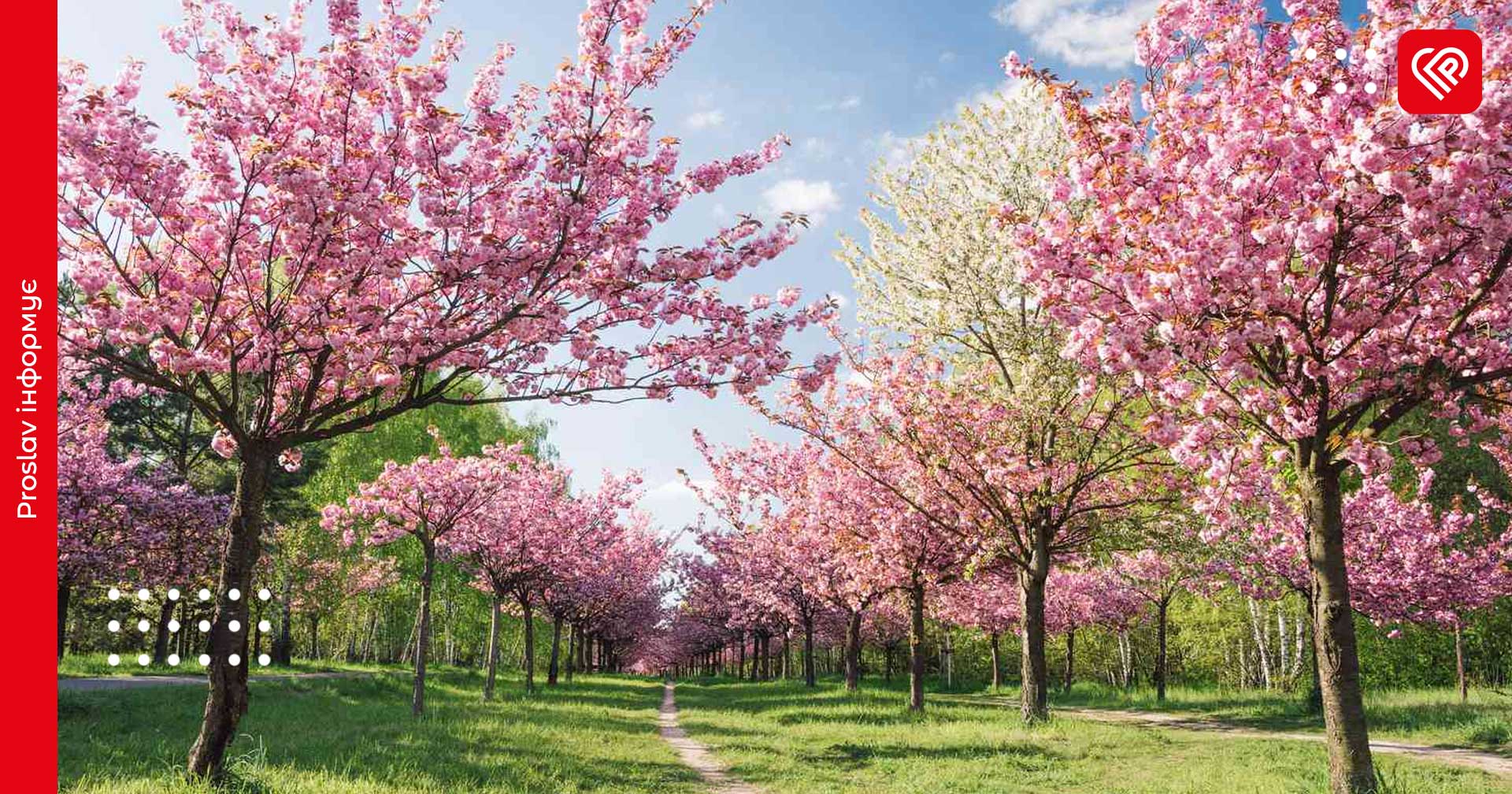 Прогноз на 15 квітня: на Київщині повітря прогріється до 20 градусів