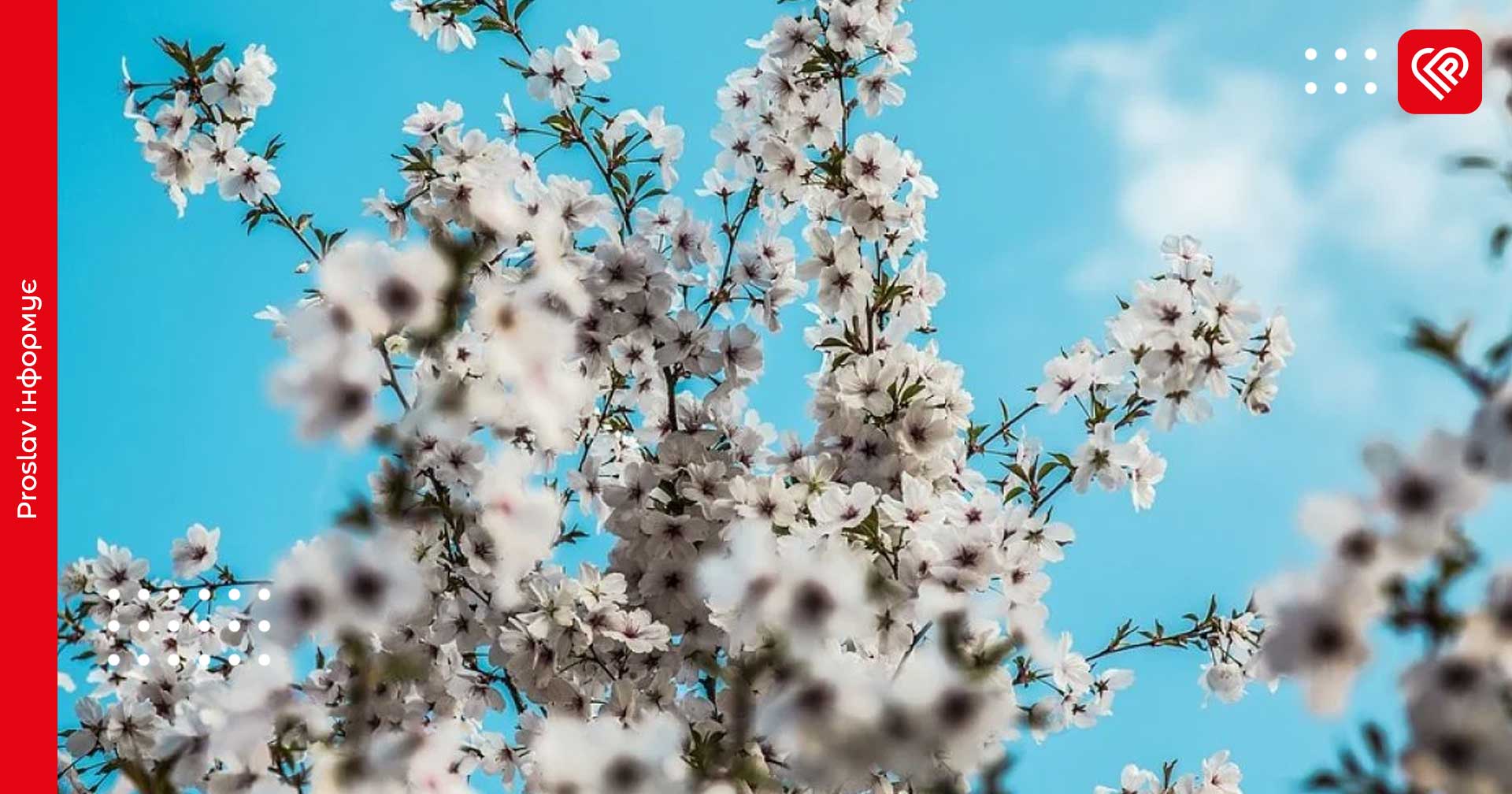 Проноз на 17 квітня: на Київщині температура підніметься до 23 градусів