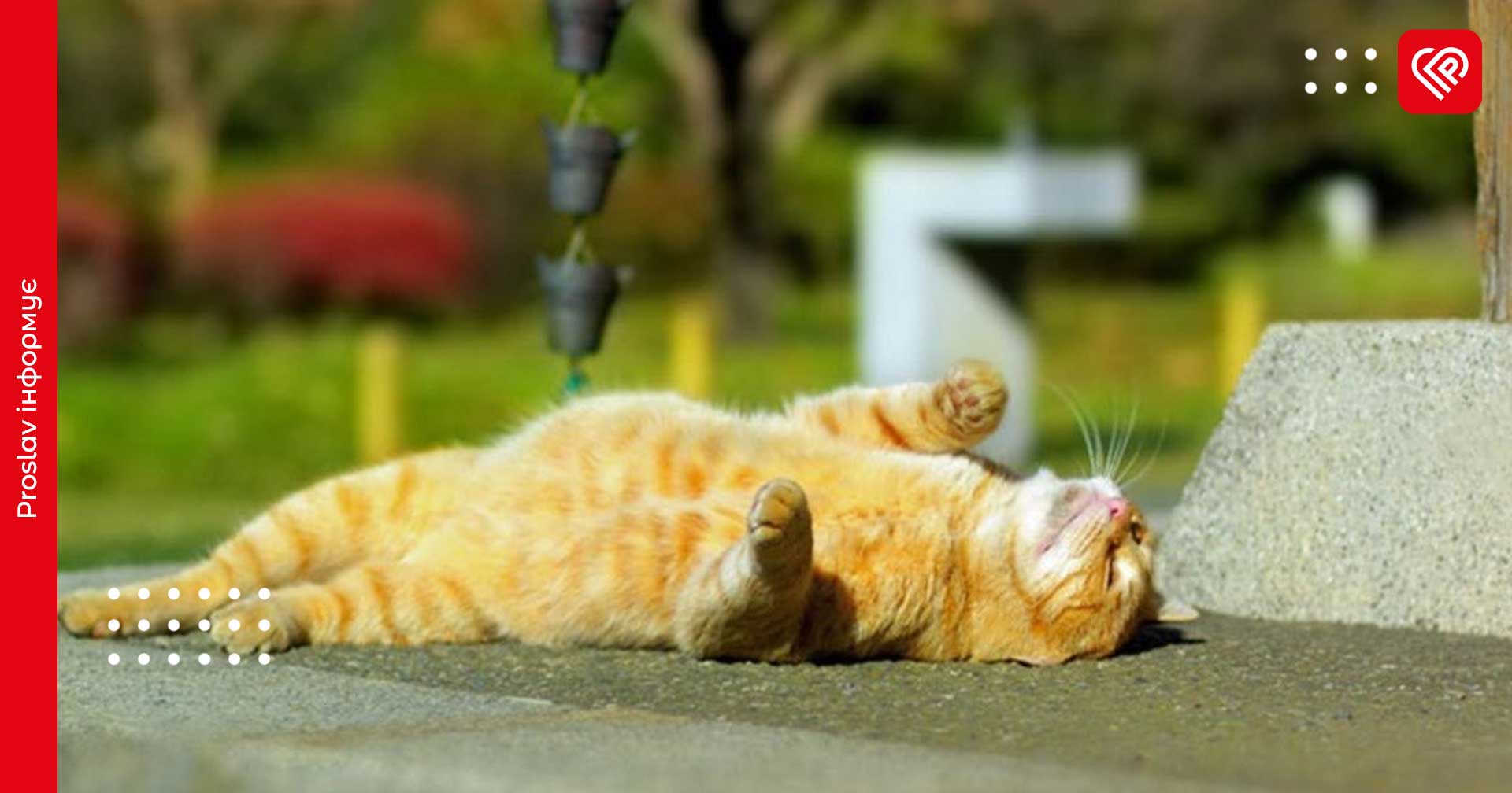 На Київщині буде сонячно та тепло: прогноз на 18 квітня