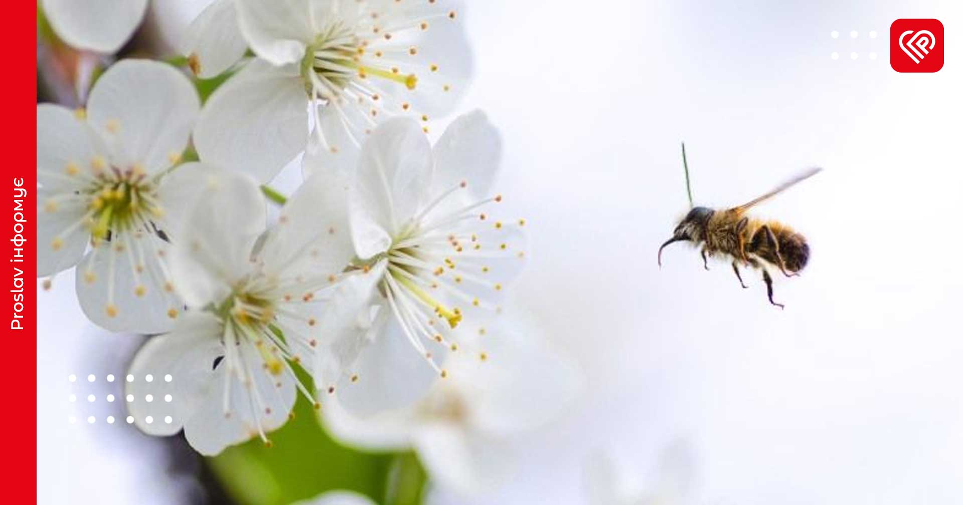 Прогноз на 19 квітня: на Київщині очікується приємна весняна погода