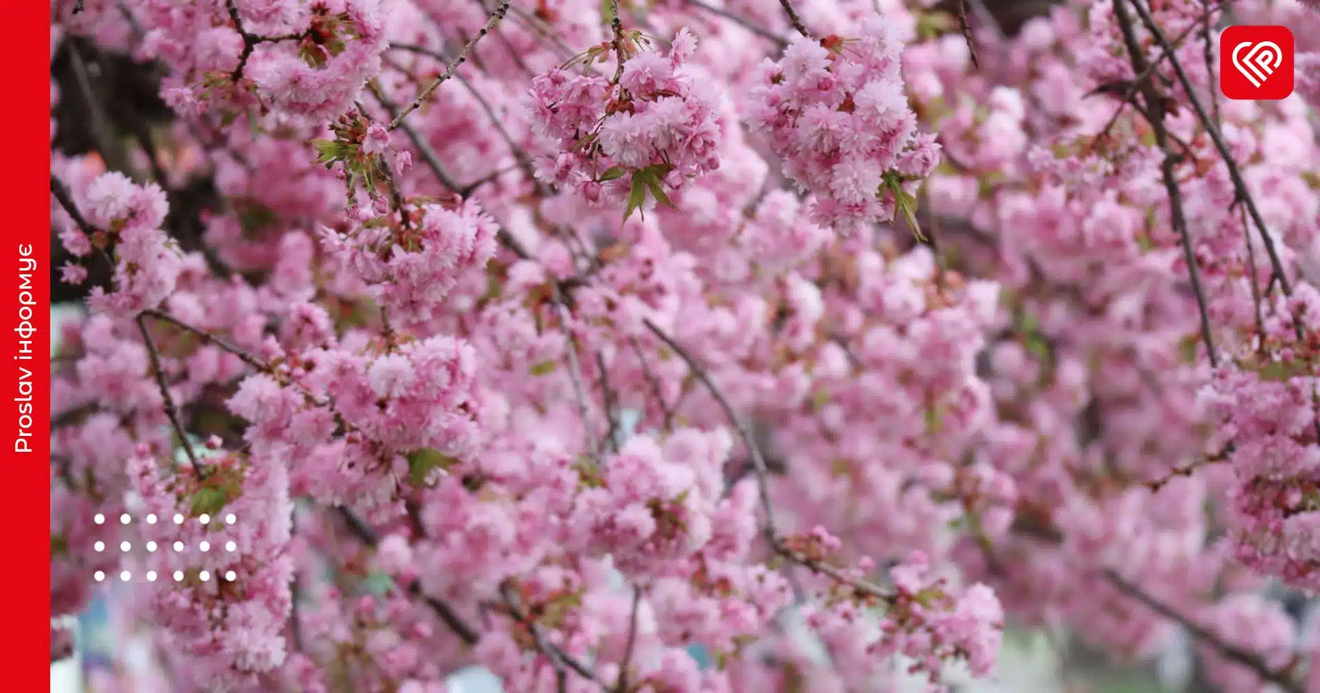 Прогноз на 21 квітня: синоптики повідомили про значне підвищення температури на Київщині