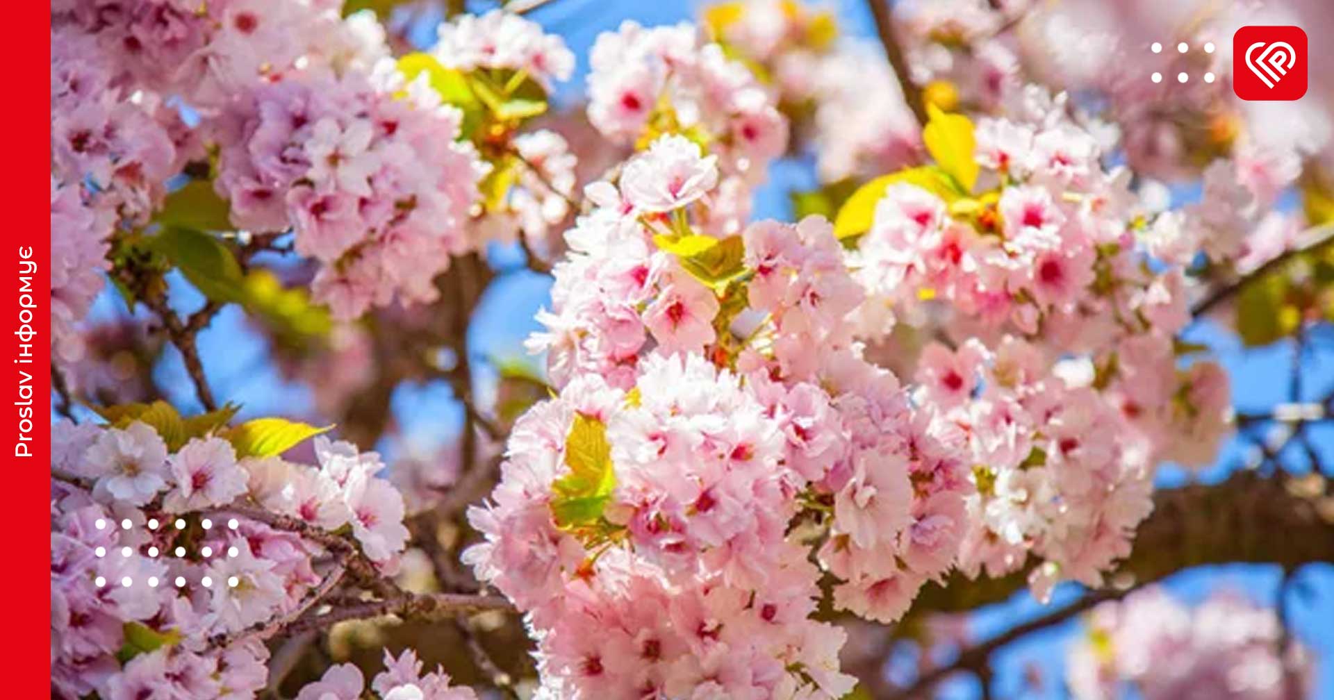 Вдень на Київщині буде 26 градусів: прогноз на 22 квітня