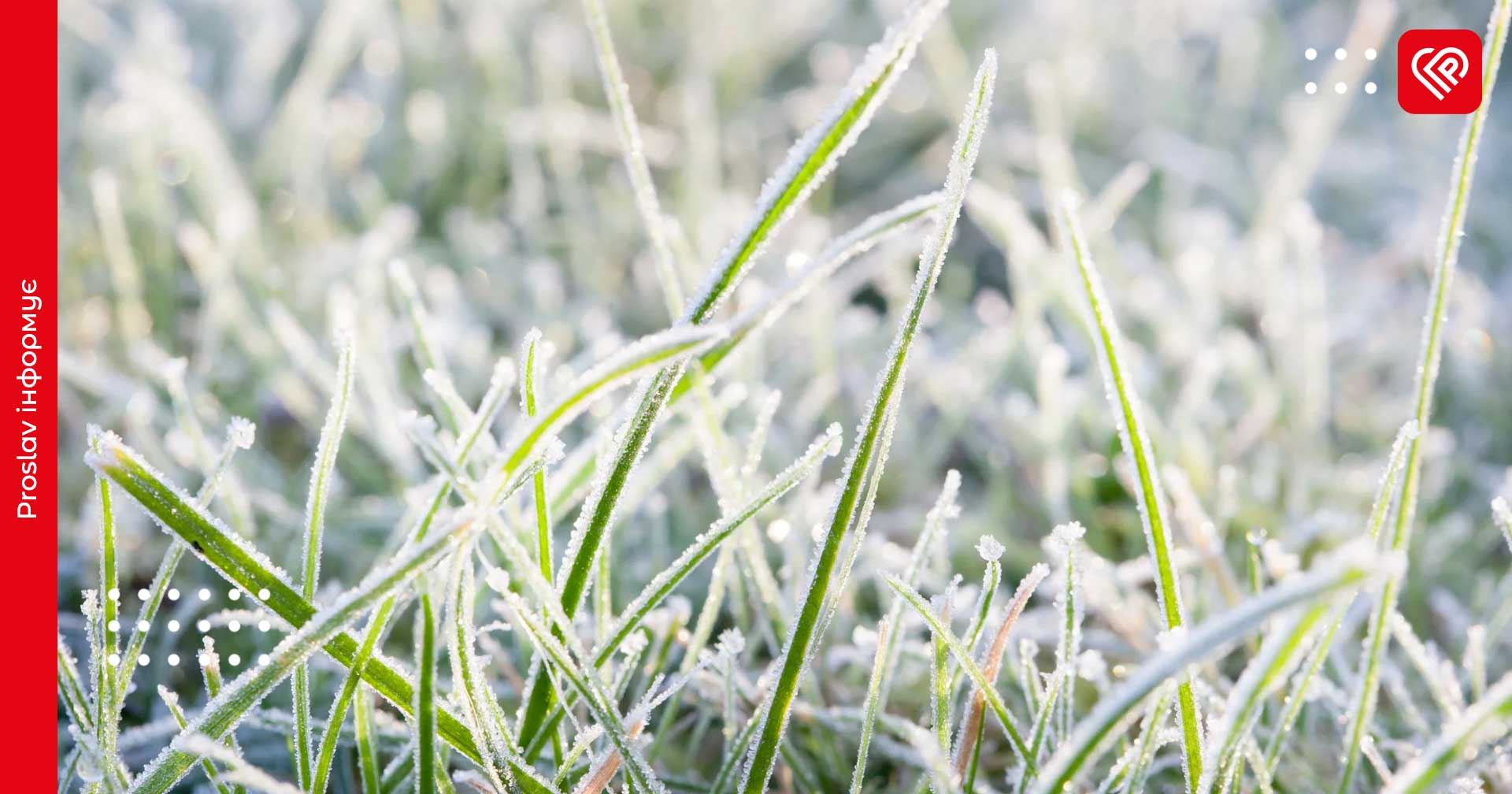 Синоптики попередили про заморозки на поверхні ґрунту: прогноз на 27 квітня
