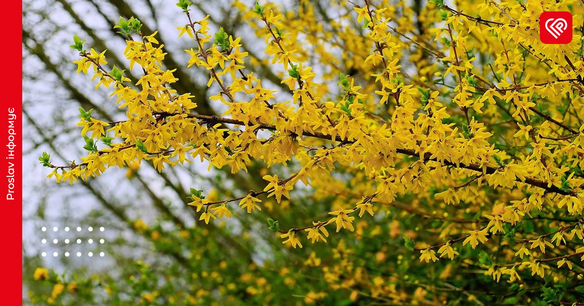 Прогноз на 28 квітня: на Київщині у повітрі очікуються заморозки